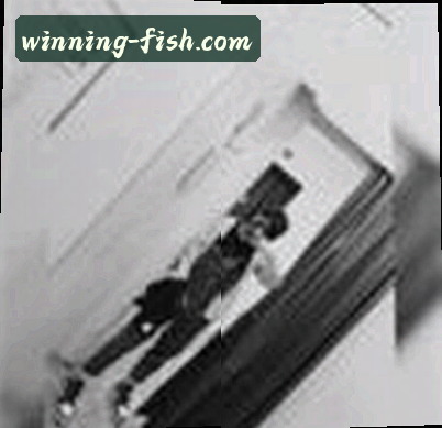 王涛